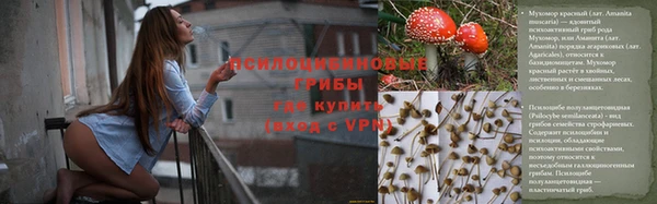спайс Инта