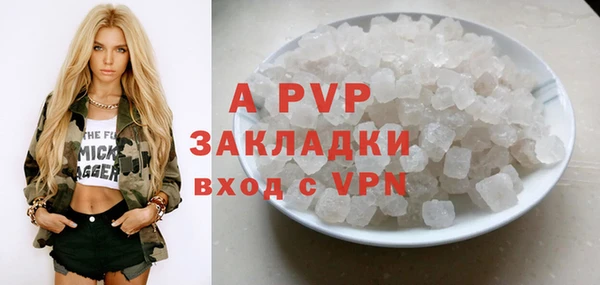 стафф Иннополис