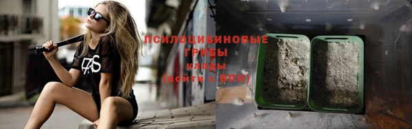 соль ск Каменногорск