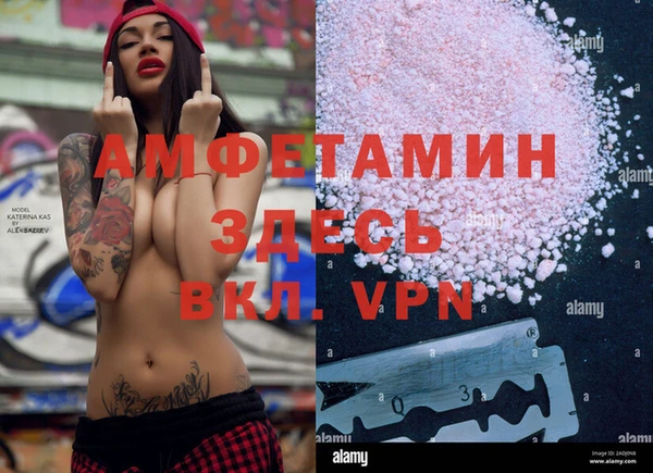 спайс Инта