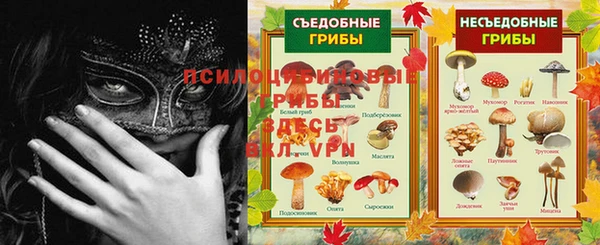 круглые Инсар