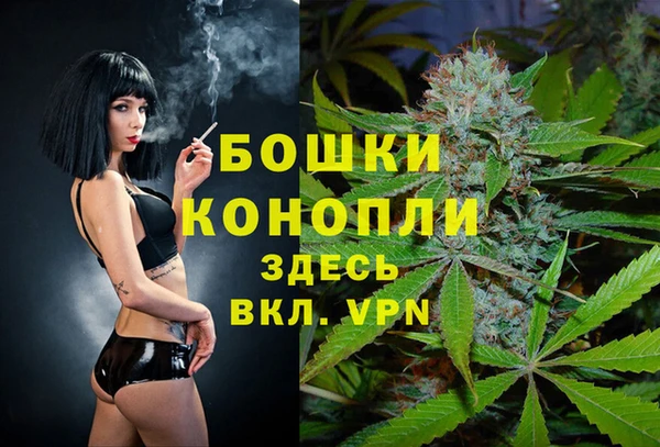 спайс Инта