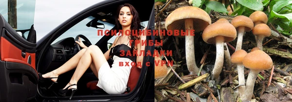 стафф Иннополис