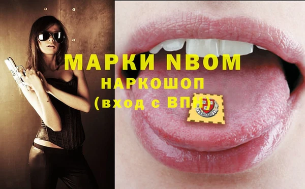 стафф Иннополис