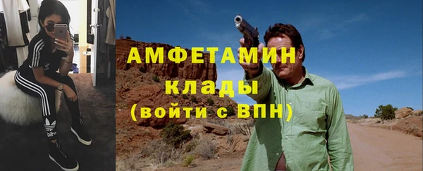 стафф Иннополис