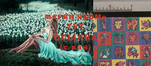 спайс Инта
